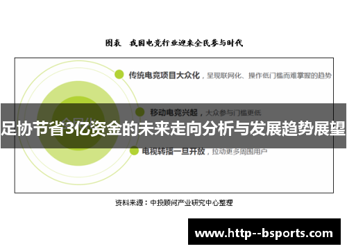 足协节省3亿资金的未来走向分析与发展趋势展望